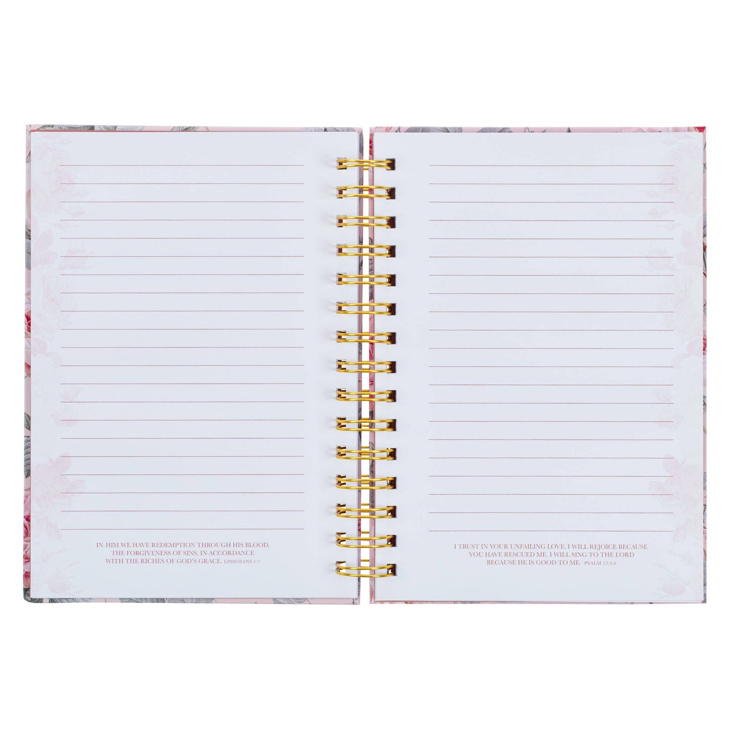 More Precious than Rubies Wirebound Journal - Prov. 31:10